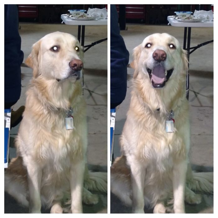 Before And After Being Called A Good Boy