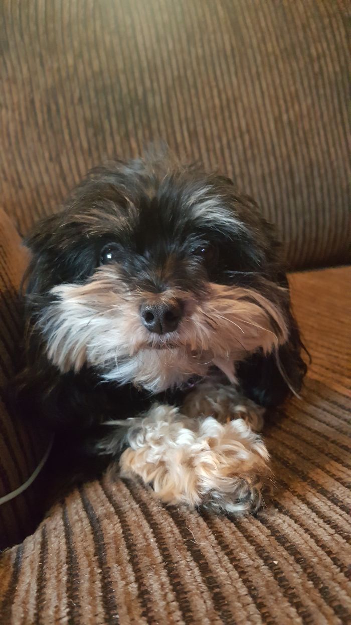 Ellie Before And After Being Told She's A Good Girl.