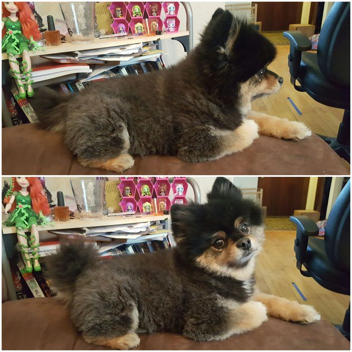 "did You Say 'food'?"