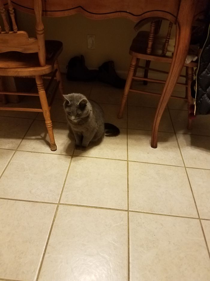 Affter Aslan Good Boy