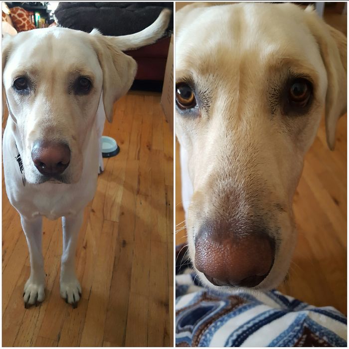 She Got Very Very Close...