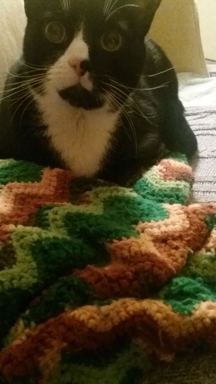 Tux Abbott, Upon Learning He's A "good Boy."