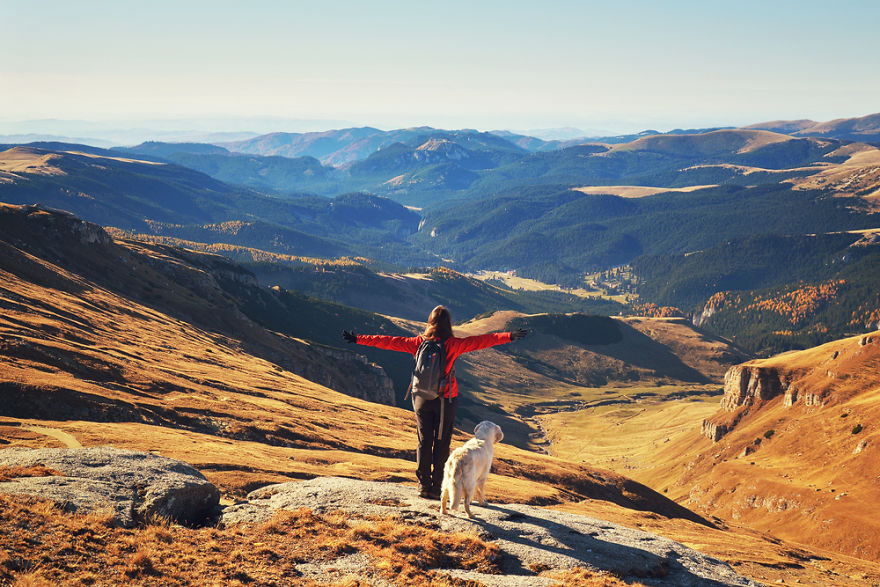 I Travel Romania With My Golden Retriever Geena Who Is The Best Travel Companion I Travel Romania With My Golden Retriever Geena Who Is The Best Travel Companion