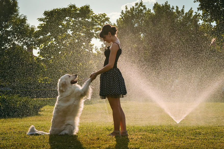 I Travel Romania With My Golden Retriever Geena Who Is The Best Travel Companion I Travel Romania With My Golden Retriever Geena Who Is The Best Travel Companion
