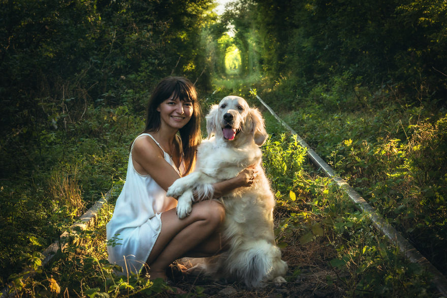 I Travel Romania With My Golden Retriever Geena Who Is The Best Travel Companion I Travel Romania With My Golden Retriever Geena Who Is The Best Travel Companion