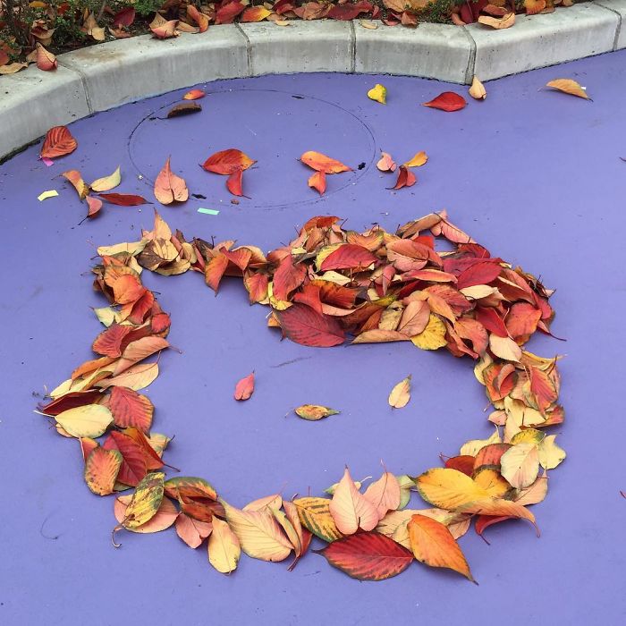 Fallen Leaf Art
