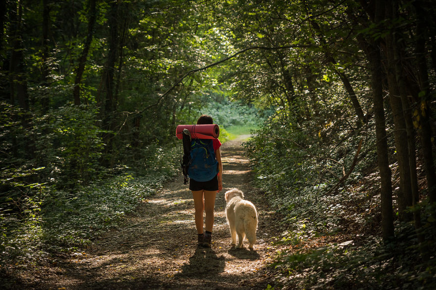 I Travel Romania With My Golden Retriever Geena Who Is The Best Travel Companion I Travel Romania With My Golden Retriever Geena Who Is The Best Travel Companion