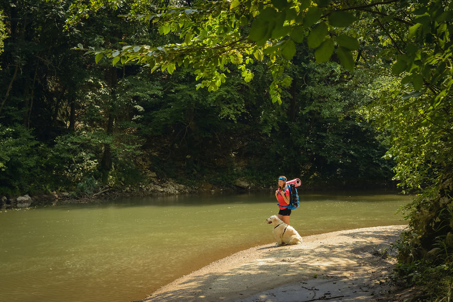 I Travel Romania With My Golden Retriever Geena Who Is The Best Travel Companion