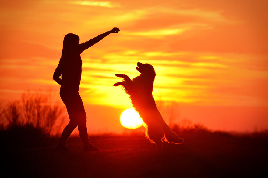 I Travel Romania With My Golden Retriever Geena Who Is The Best Travel Companion