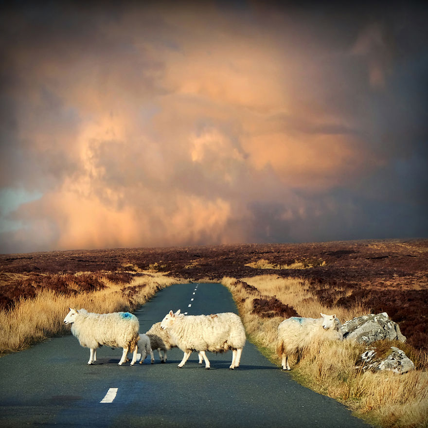 After 10 Years I'm Still Enchanted By Emerald Island After 10 Years I'm Still Enchanted By Emerald Island