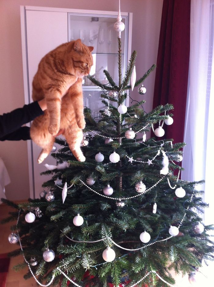 We Wish You A Merry Christmas And A Grumpy New Year