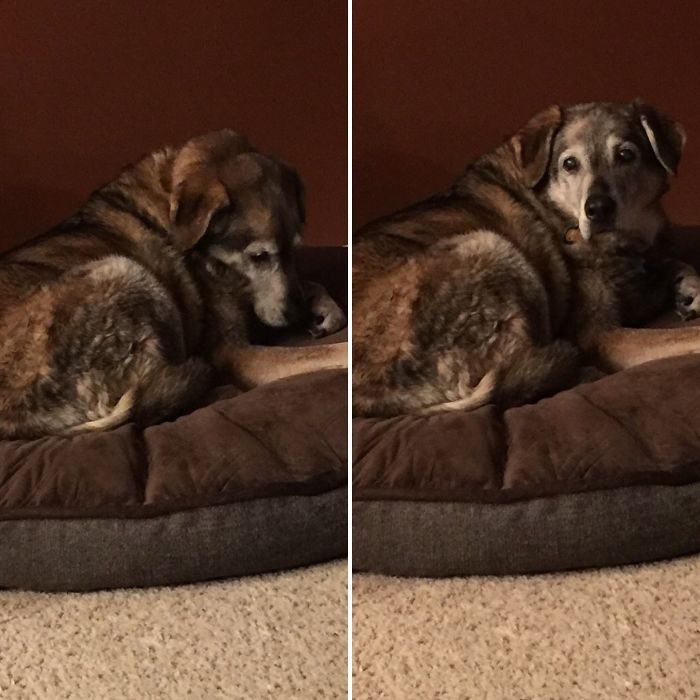 Dakota Is A Good Girl!