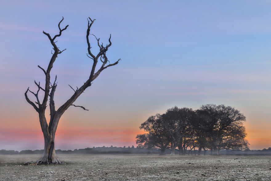 5 Tips To Enhance Your Landscape Photography Skills 5 Tips To Enhance Your Landscape Photography Skills