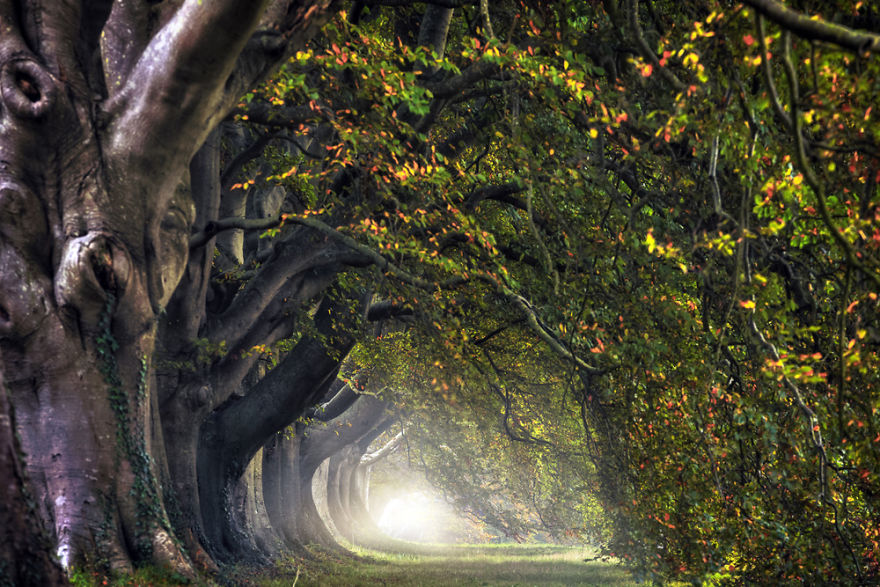 5 Tips To Enhance Your Landscape Photography Skills 5 Tips To Enhance Your Landscape Photography Skills