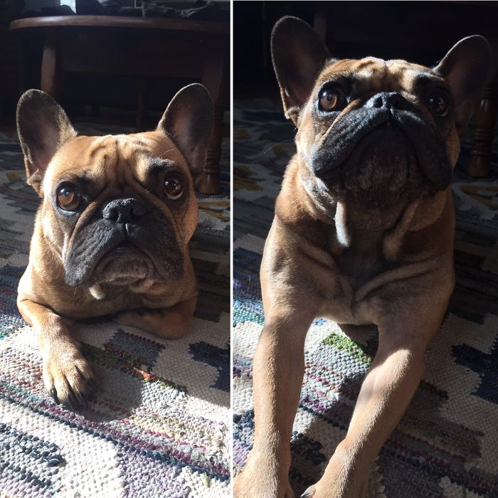 Frank Being Called A Good Boy