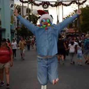 celebratingflorida avatar