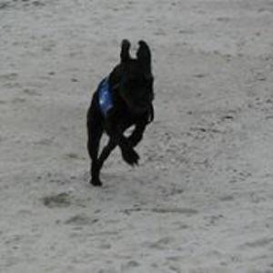 brilliantmindbrokenbody avatar