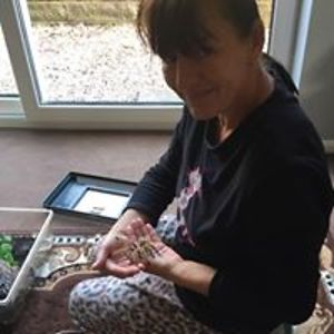 melaine-gronow avatar