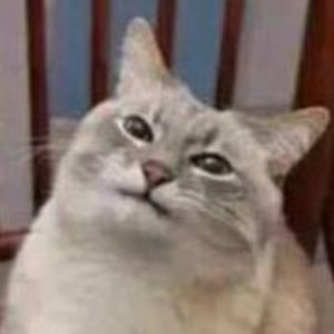 libbygleixner avatar