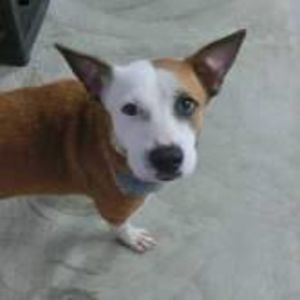 ms_mel_evenson avatar