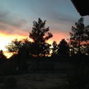 omgategatepara92392 avatar