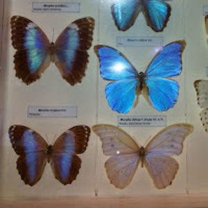 andreea-oliviamatei avatar