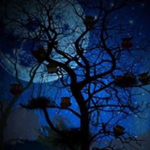 patriot_gyrl65 avatar