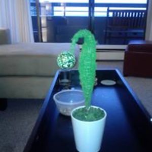 bonniedeanstobie avatar