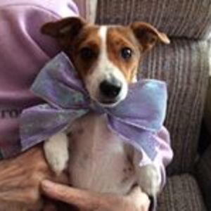 laurel_barnett1 avatar