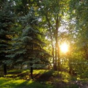 art_smashboompow avatar