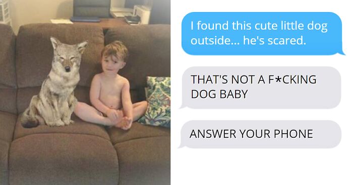 Wife Texts Husband She Brought A Dog Home While The Pic Shows A Coyote, And He Seriously Freaks Out