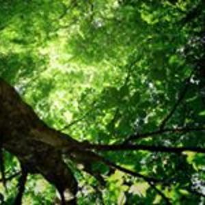 stillmotion220 avatar