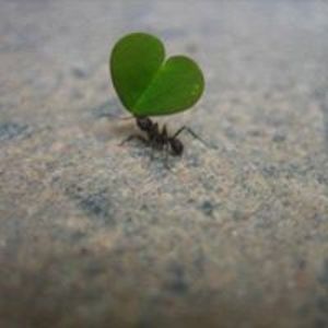 1239002389525276 avatar