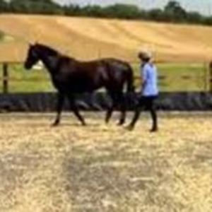 tinaatkins1974 avatar