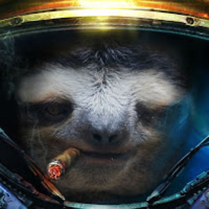 sloth avatar