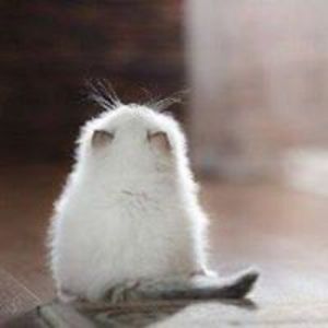 maria_igelstrom avatar