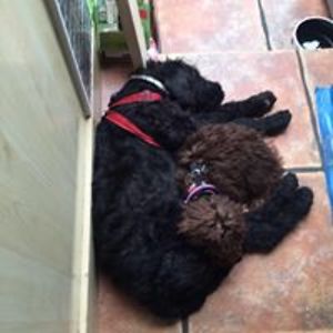 robinsonlouise56 avatar