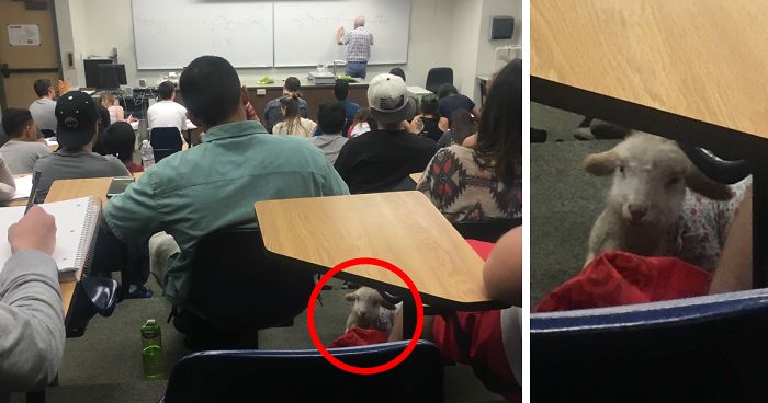 81 Pics That’ll Freak You Out WHEN YOU SEE IT