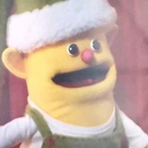 darcyhollykevin avatar