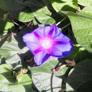 andyouwonderwhy avatar