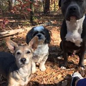 magalyduartevoguel avatar