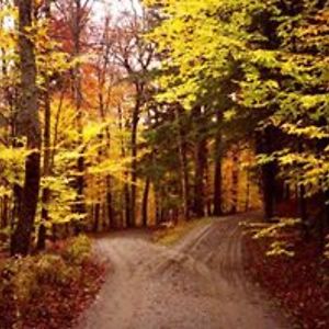 jeremy_reinier avatar