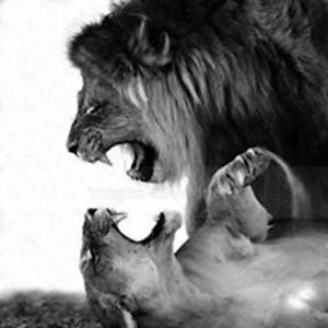 janwadolowski avatar