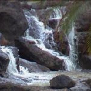 808waterfalls avatar