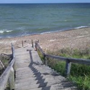 stoplosingit15 avatar