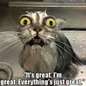 miruna_mateias avatar