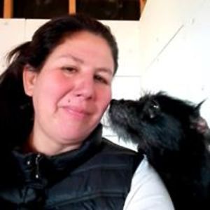 parcelaschile08 avatar