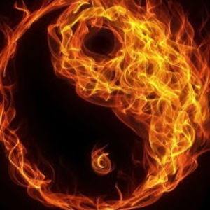 sophiamonteiro avatar