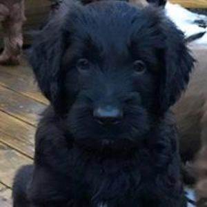 onemorecleary avatar