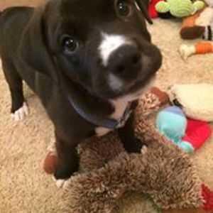 writer_emily_marek avatar